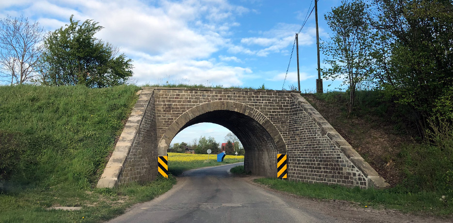 Wycinka karzaków na 294